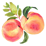 Better Place Logo transparent